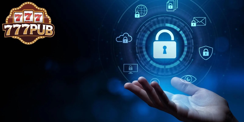 General Overview of 777PUB Privacy Policy