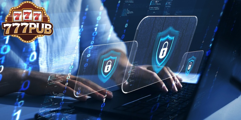 Overview of 777PUB Privacy Policy